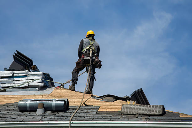 Professional Roof Replacement technician working in Preston, TX